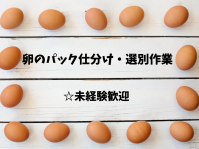 バイト先の写真